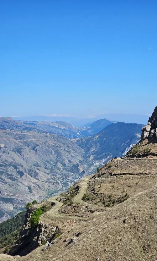 Аромат Индианы Джонса (106/180)