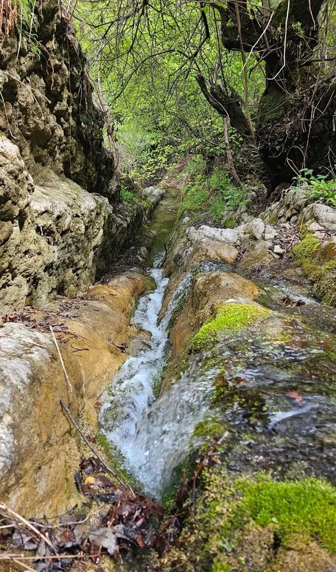 Аромат Индианы Джонса (55/180)