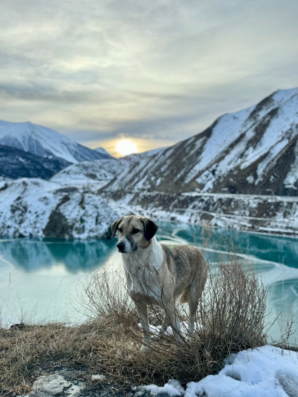 Зимняя сказка Осетии (18/58)