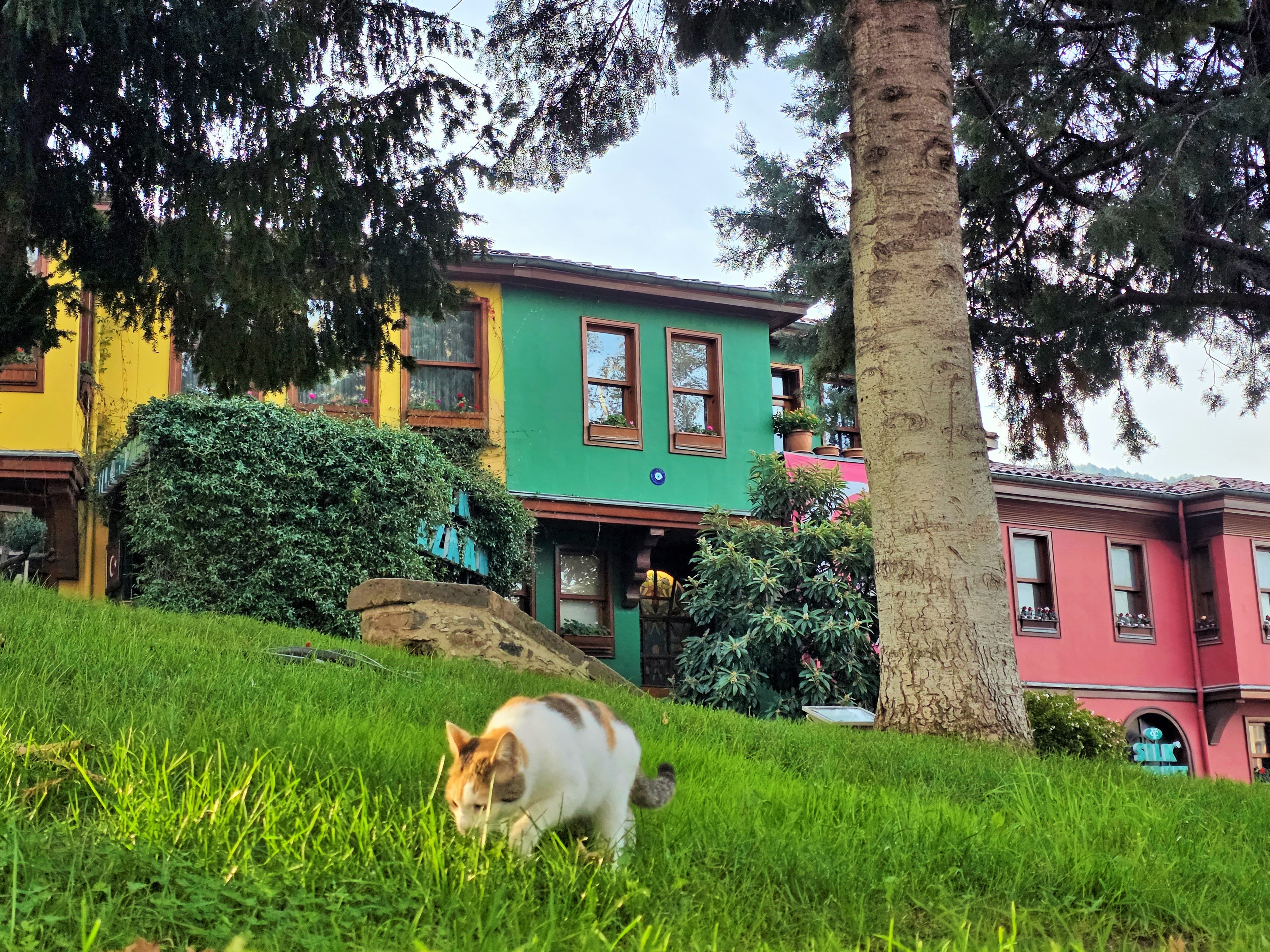 В Древнюю Грецию без визы! (34/75)