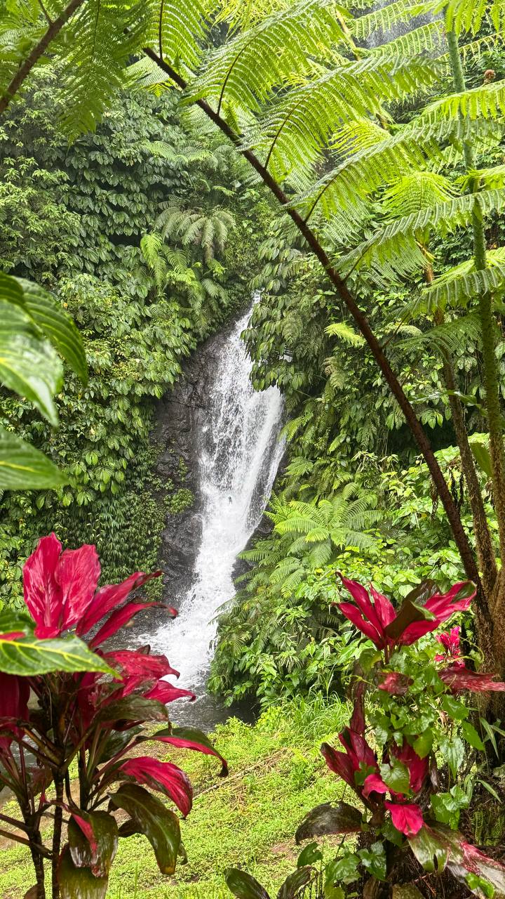 Магическая Нуса Пенида