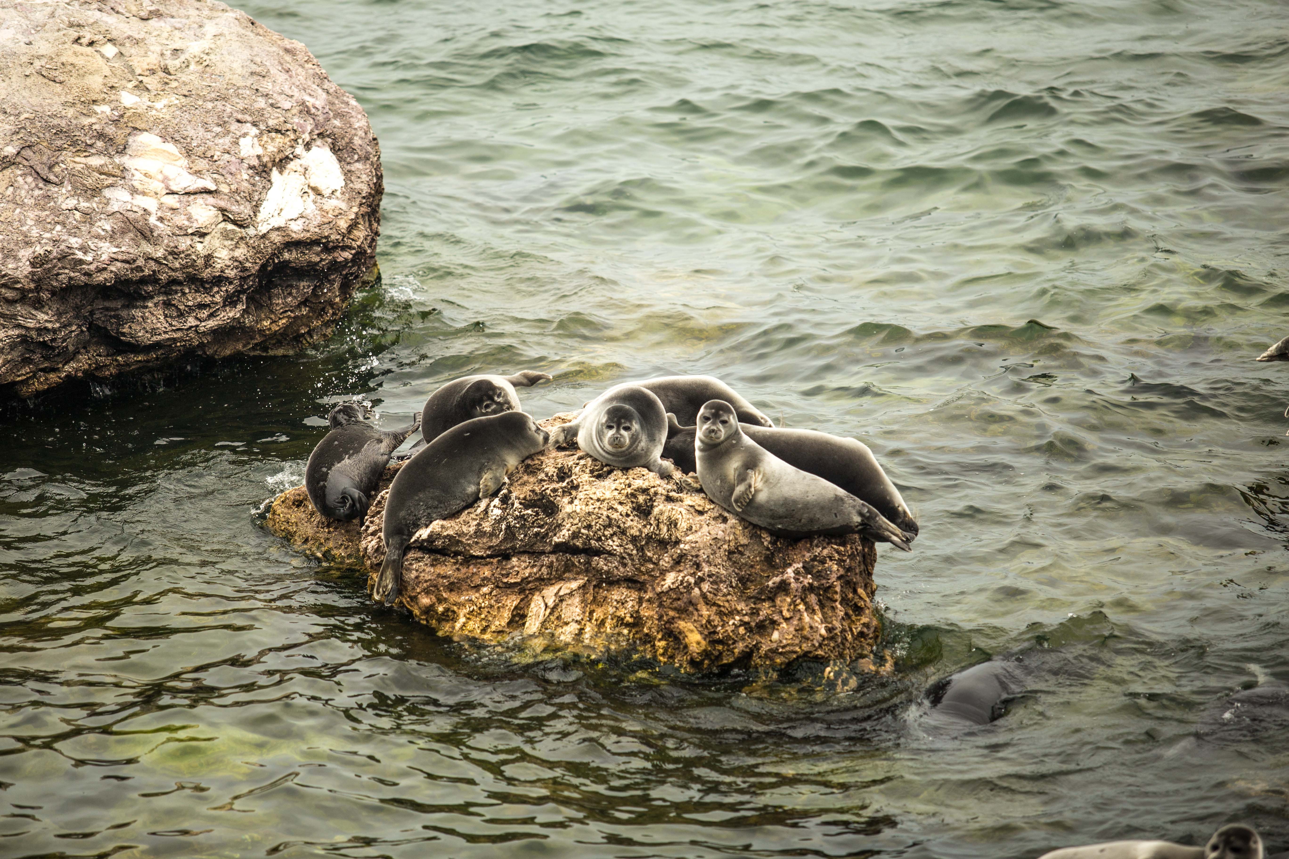 Байкал Бурятия по Максимуму с Комфортом (9/46)