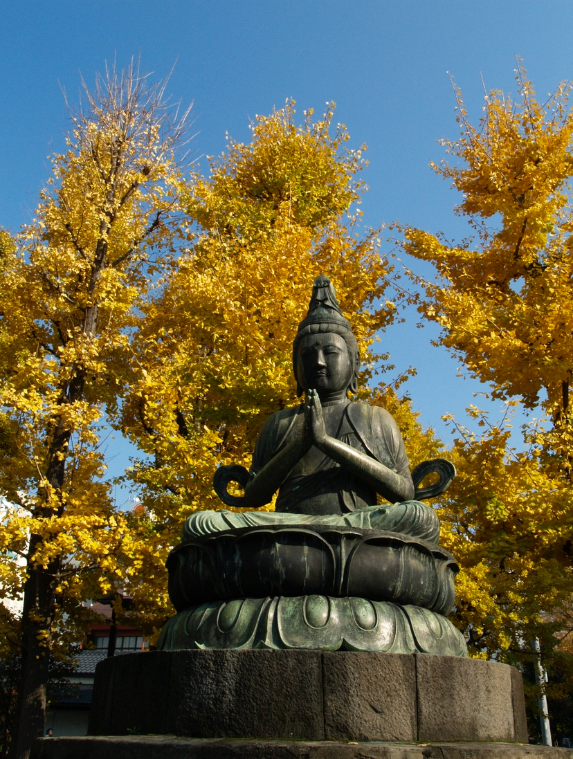 Япония - по морю и суше в поисках икигай. (3/9)