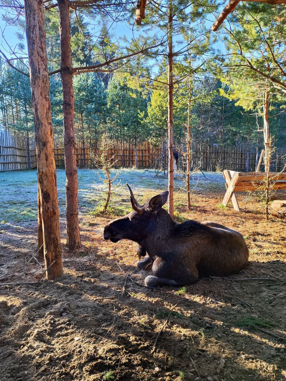 Сказочная Карелия из Петрозаводска за 4 дня в мини-группе. (3/21)