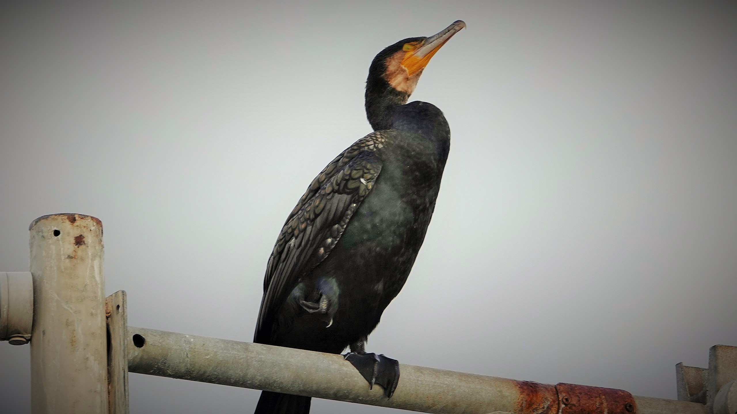 В Древнюю Грецию без визы! (3/75)