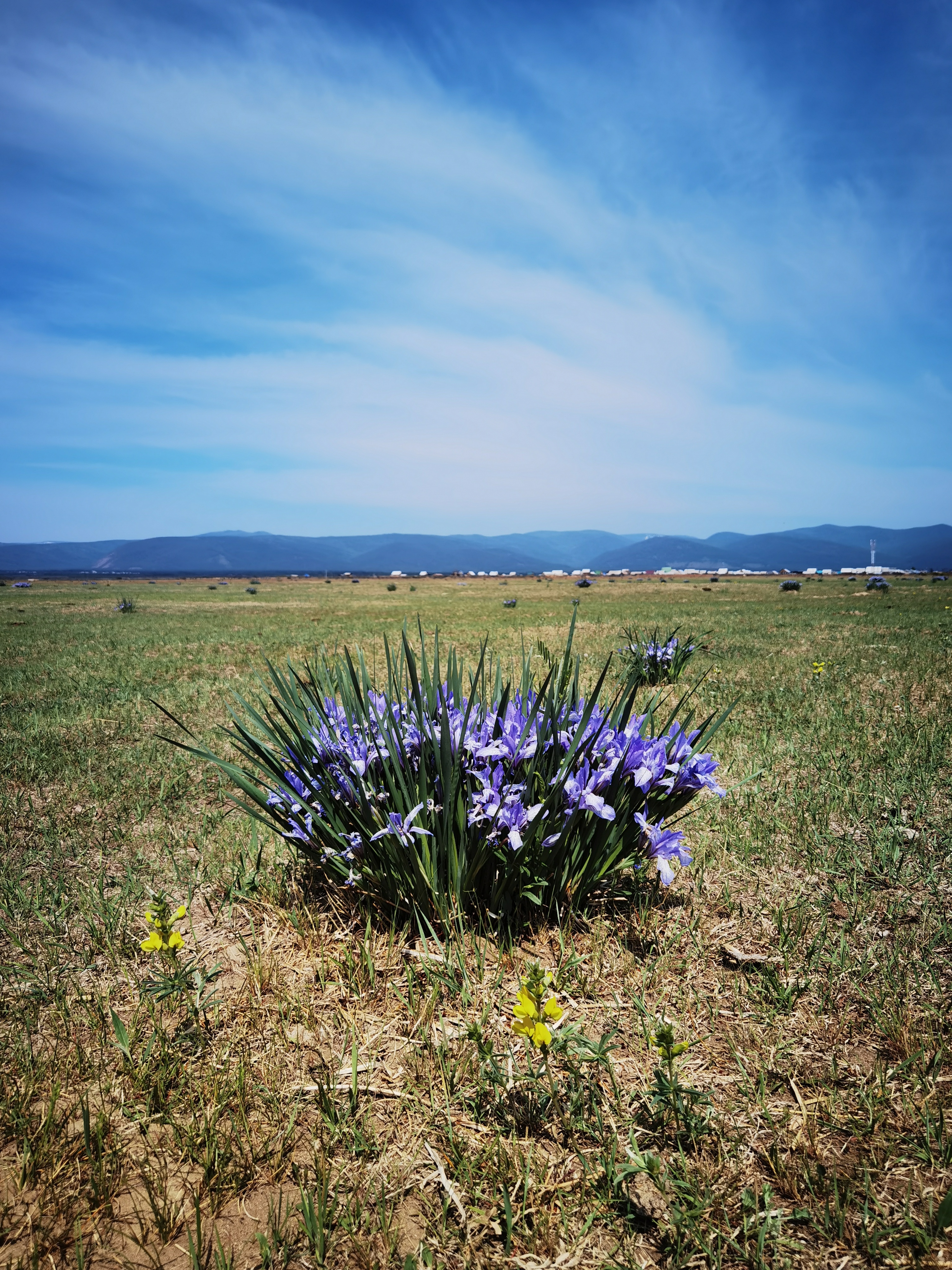 Золотой Треугольник: Путешествие к Местам Силы (17/17)