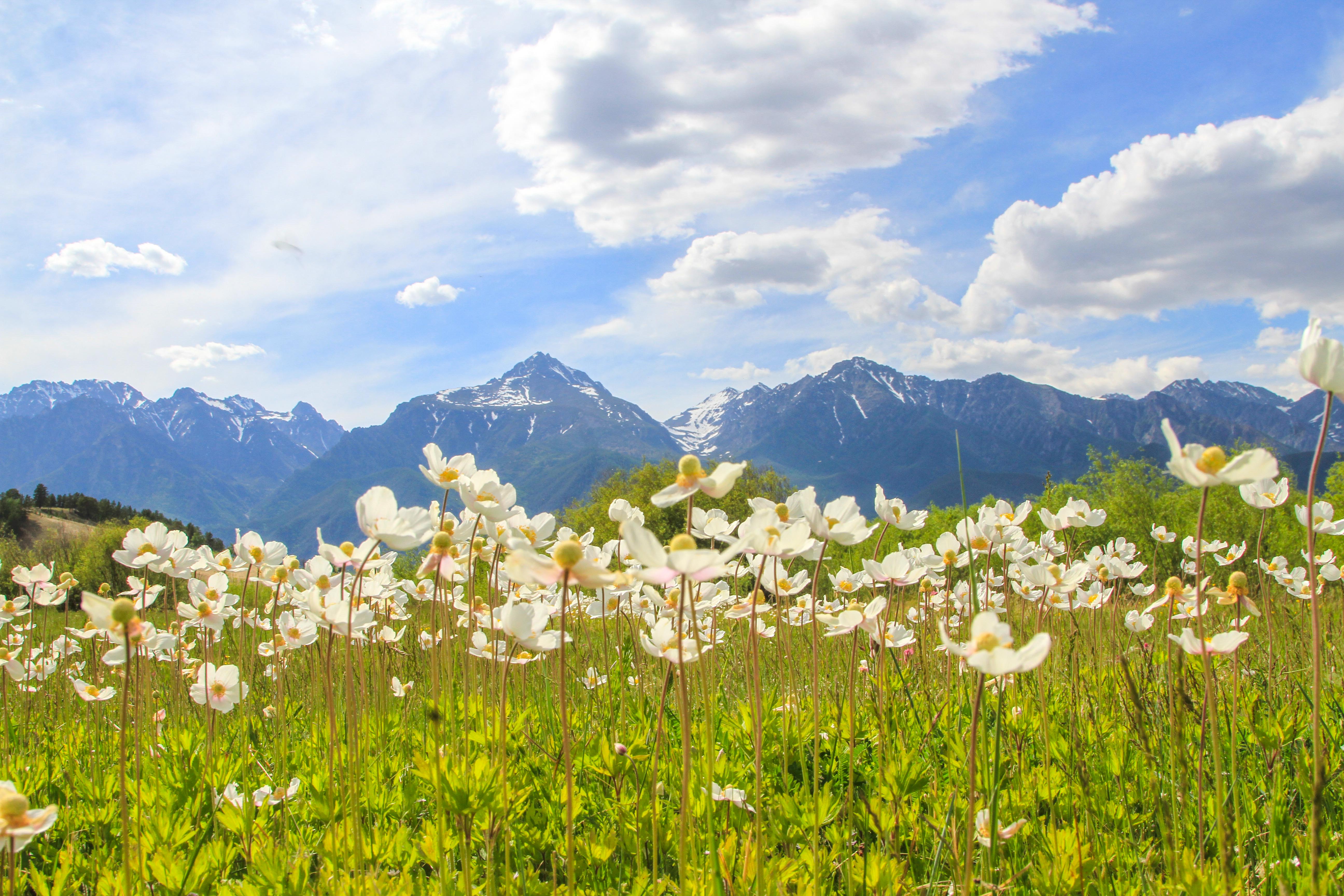Байкал Бурятия по Максимуму с Комфортом (4/46)