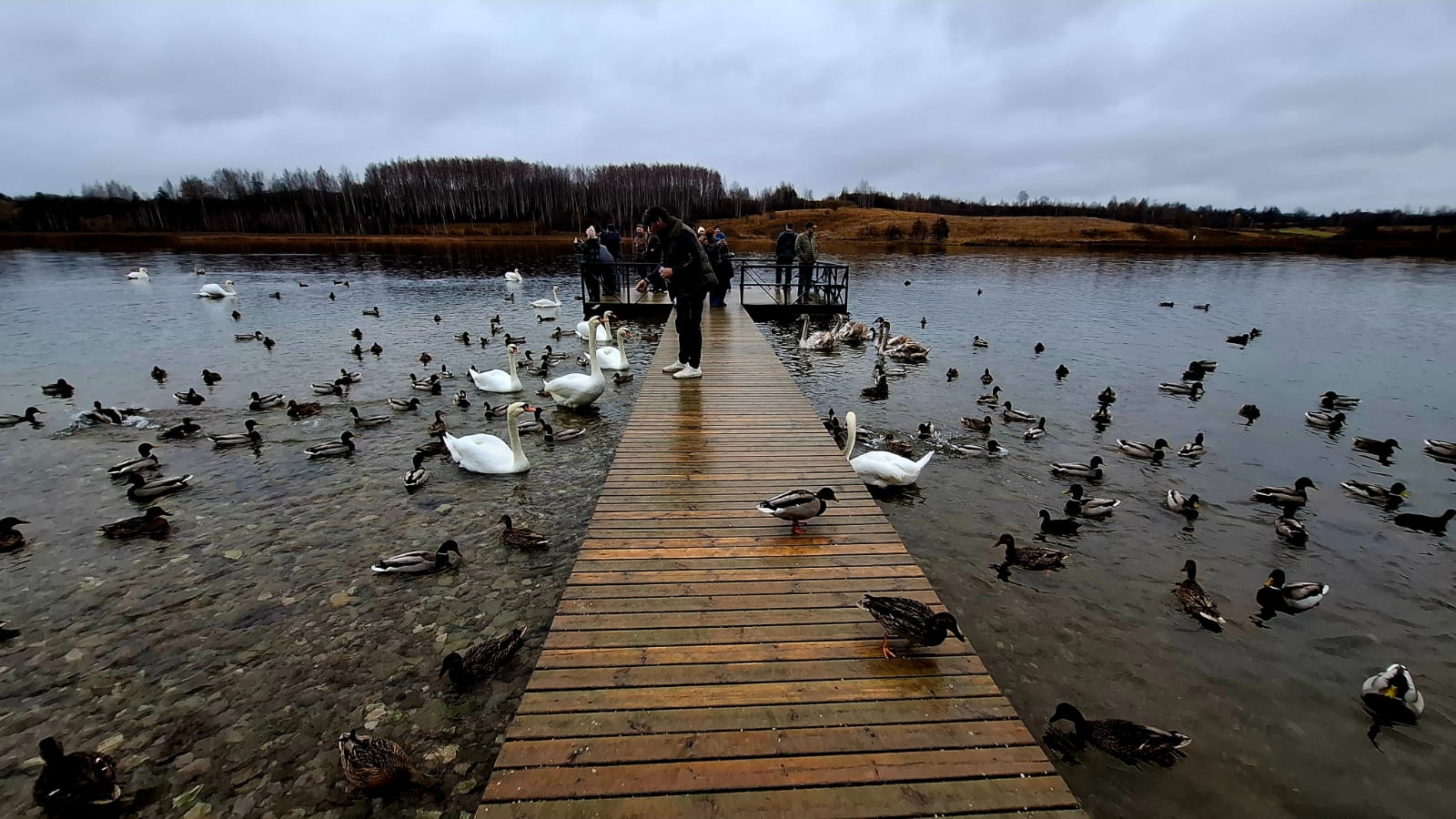 Псков, Изборск, Печоры, Пушкинские горы с.Михайловское (17/46)