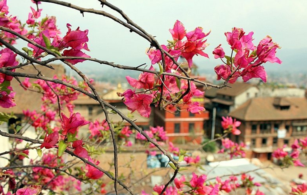 Юбилейный йога-тур Духовное сердце Непала (2/15)