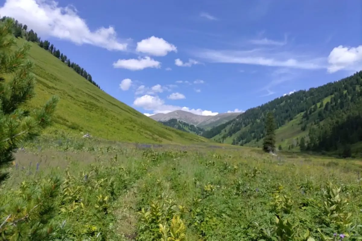 Горными тропами Алтая, конный тур на озеро Манас (9/23)