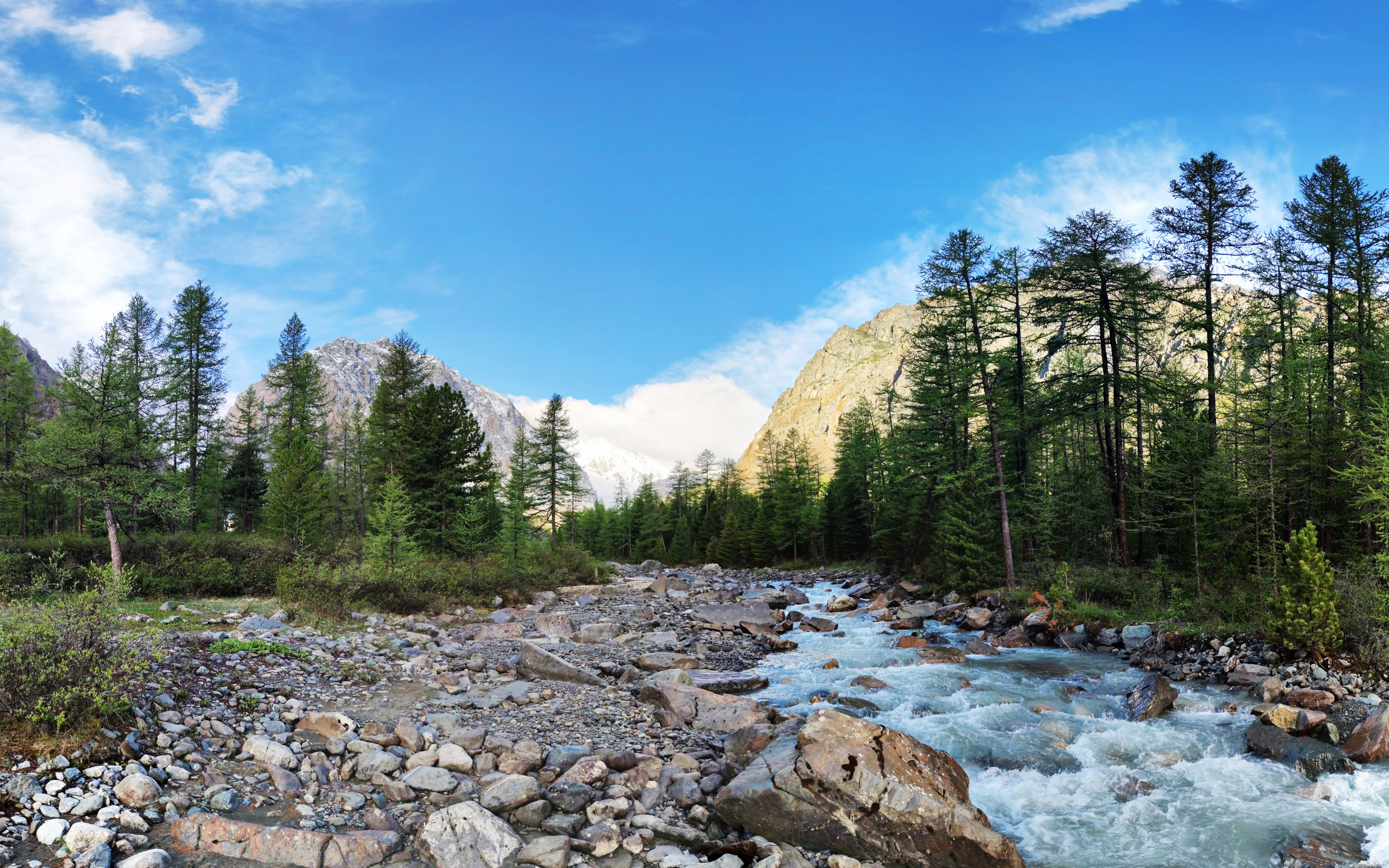 Золотое кольцо Алтая+ Актру. Индивидуальный Вип-тур. (70/121)