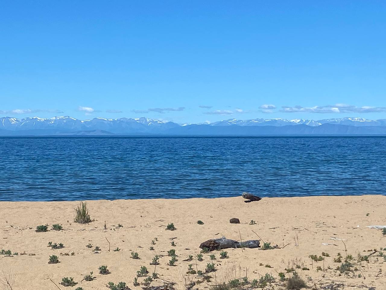 На Байкал за счастьем) (30/57)