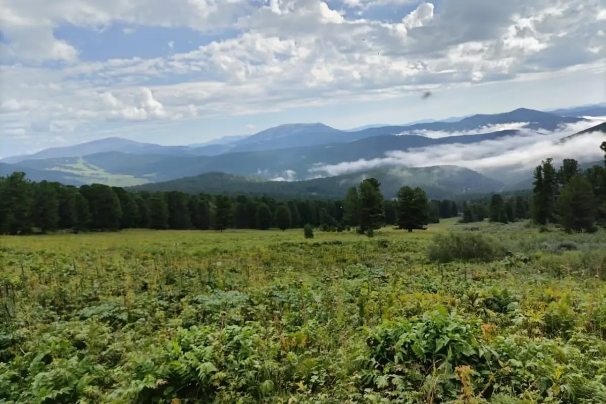 Горными тропами Алтая, конный тур на озеро Манас (7/23)