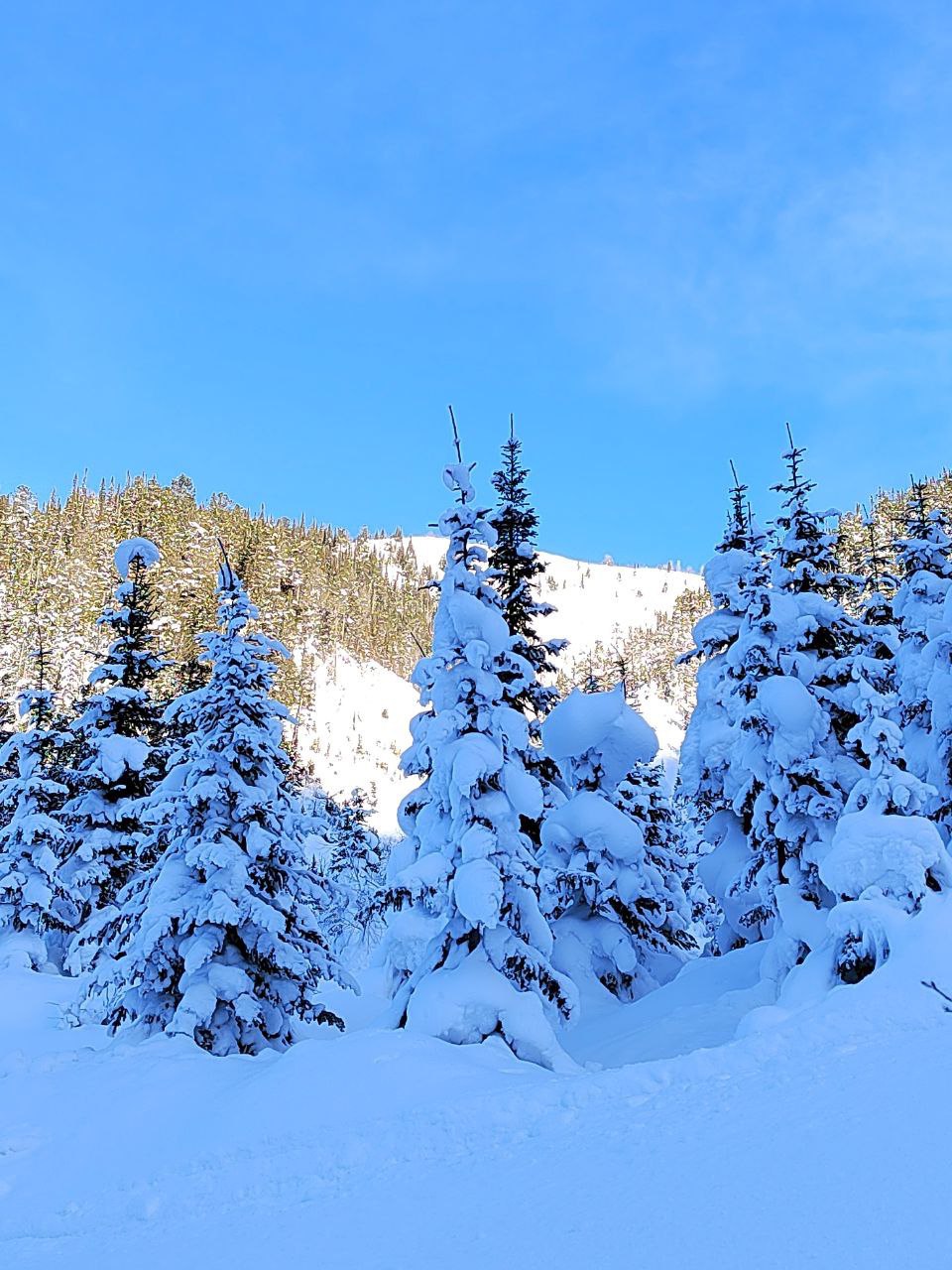 Увлекательное путешествие на Мамай одним днем