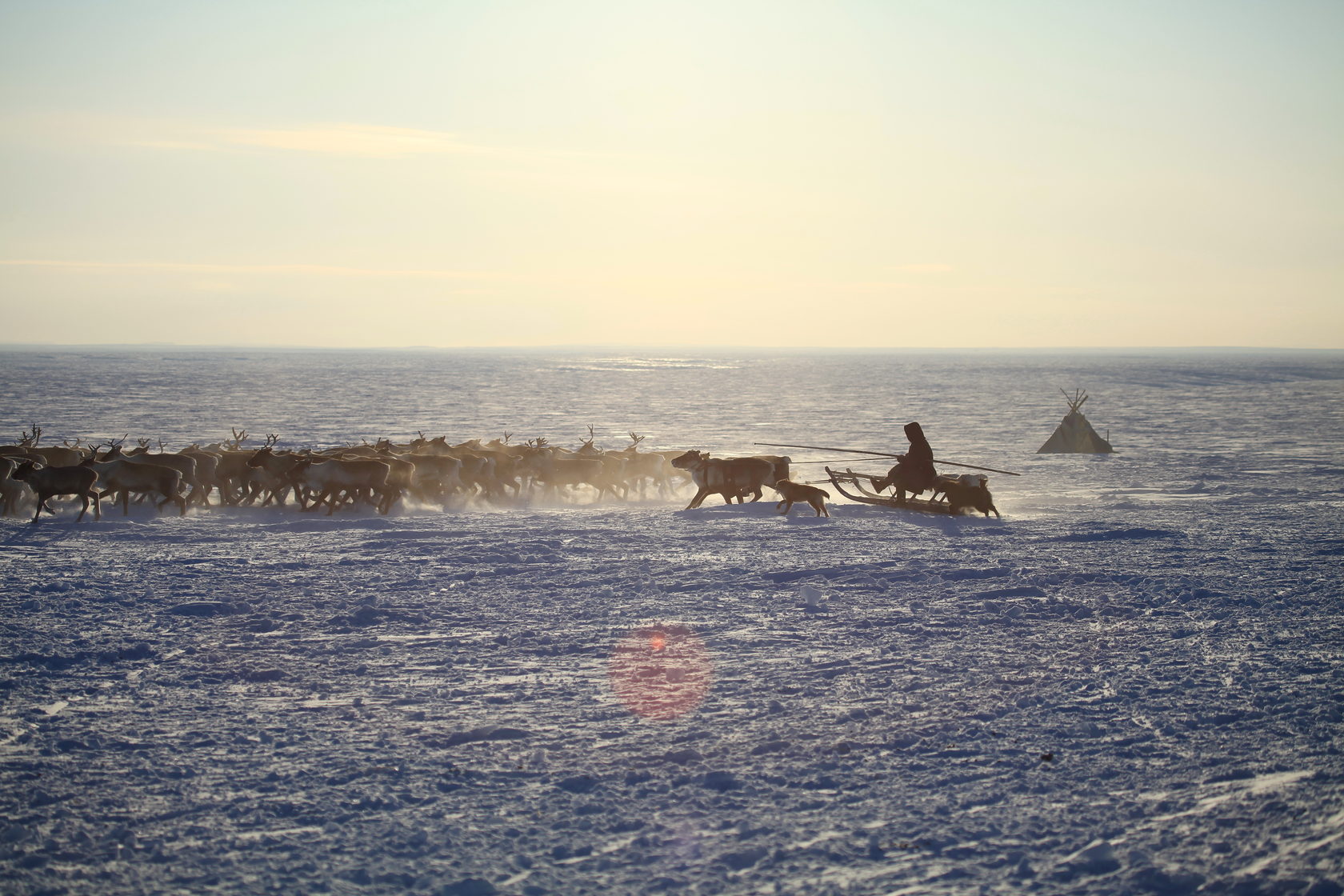 Ямал: экспедиция с профессиональным фотографом в стойбище ненецких оленеводов (17/20)