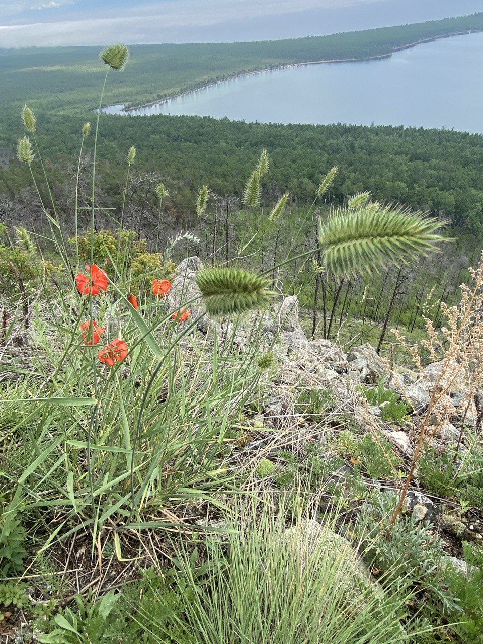 Горячие источники на Северном Байкале (38/67)