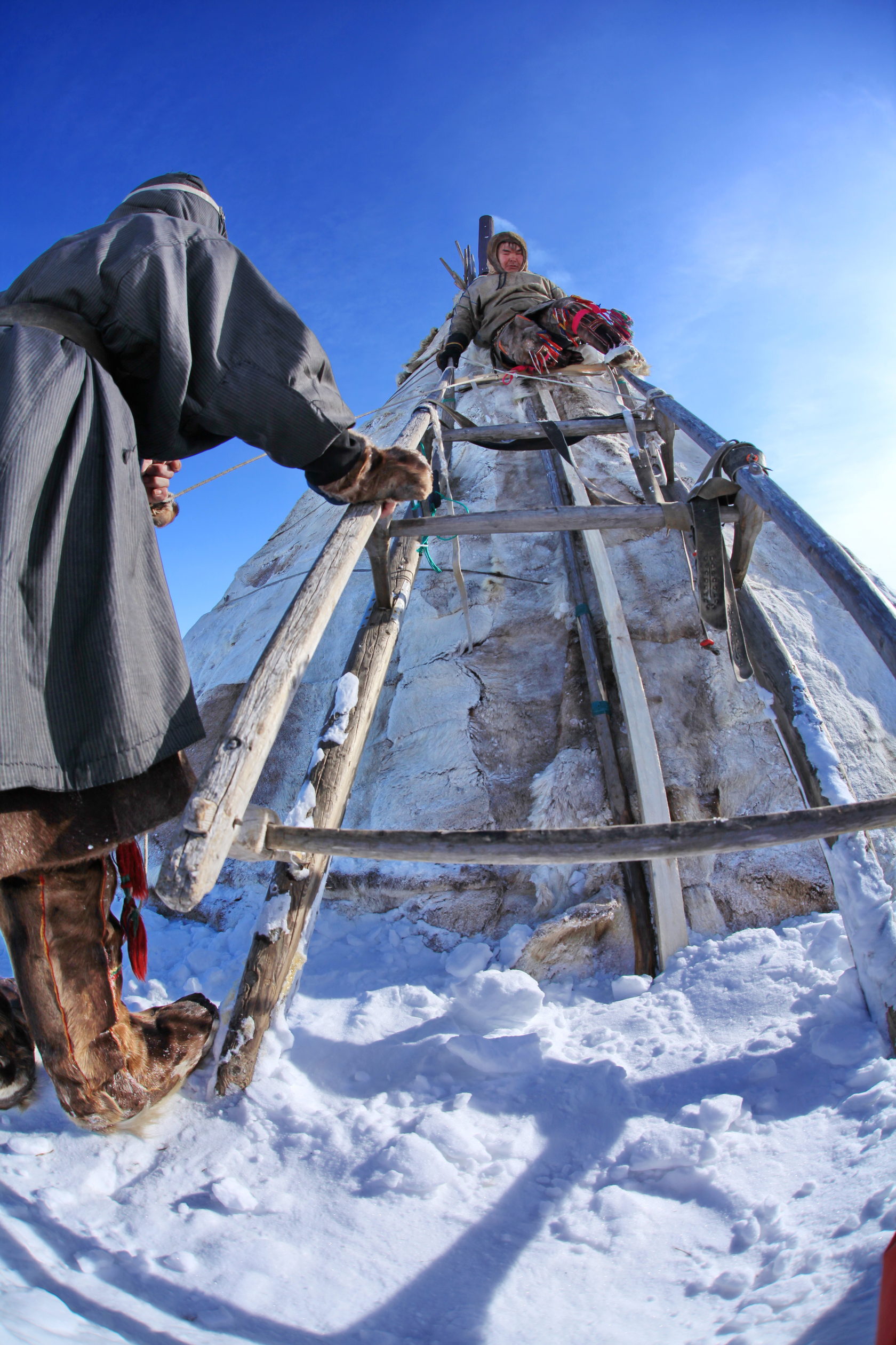 Ямал: экспедиция с профессиональным фотографом в стойбище ненецких оленеводов (7/20)