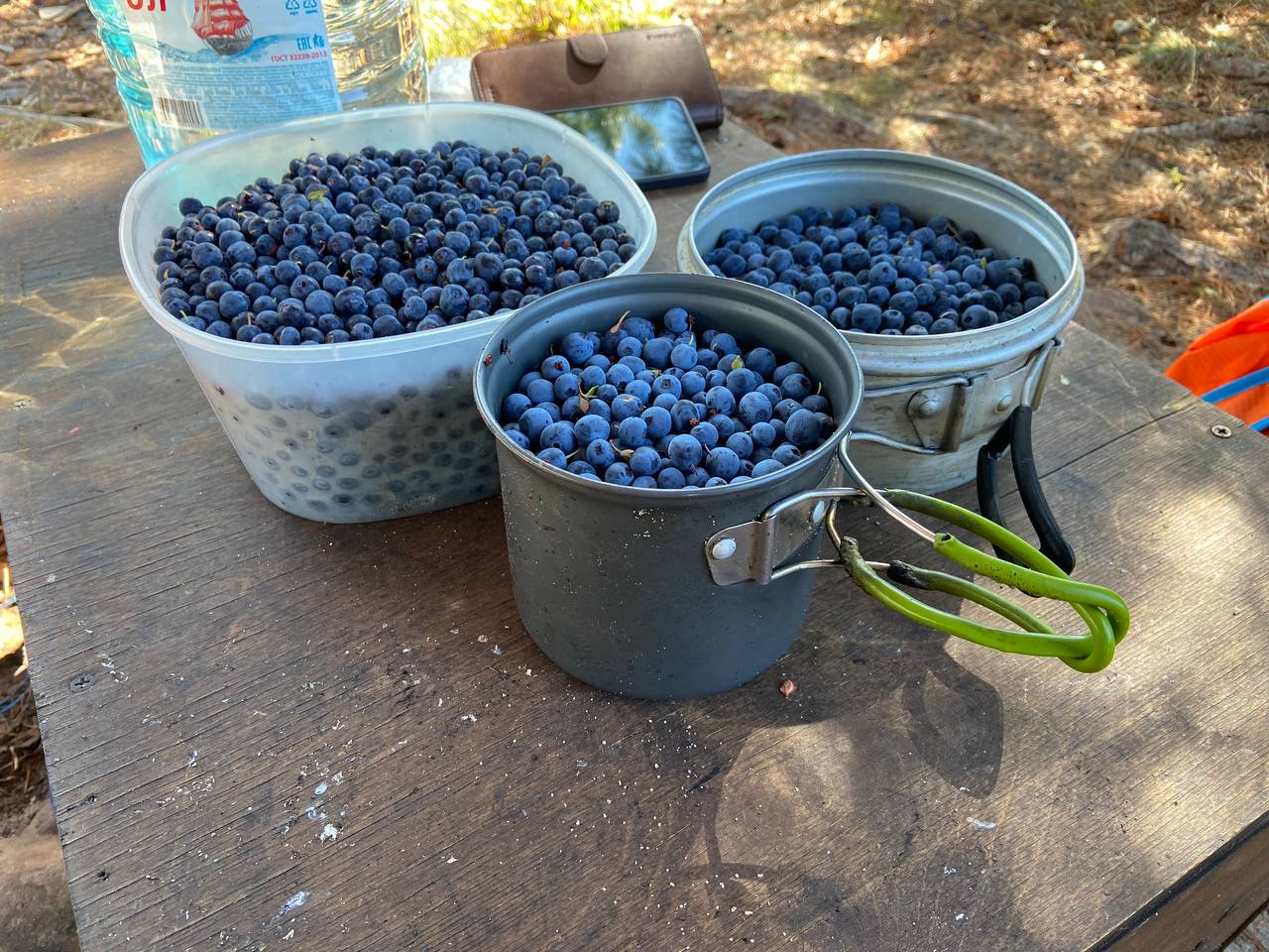 мини-тур Отдых в Хакусах (18/43)