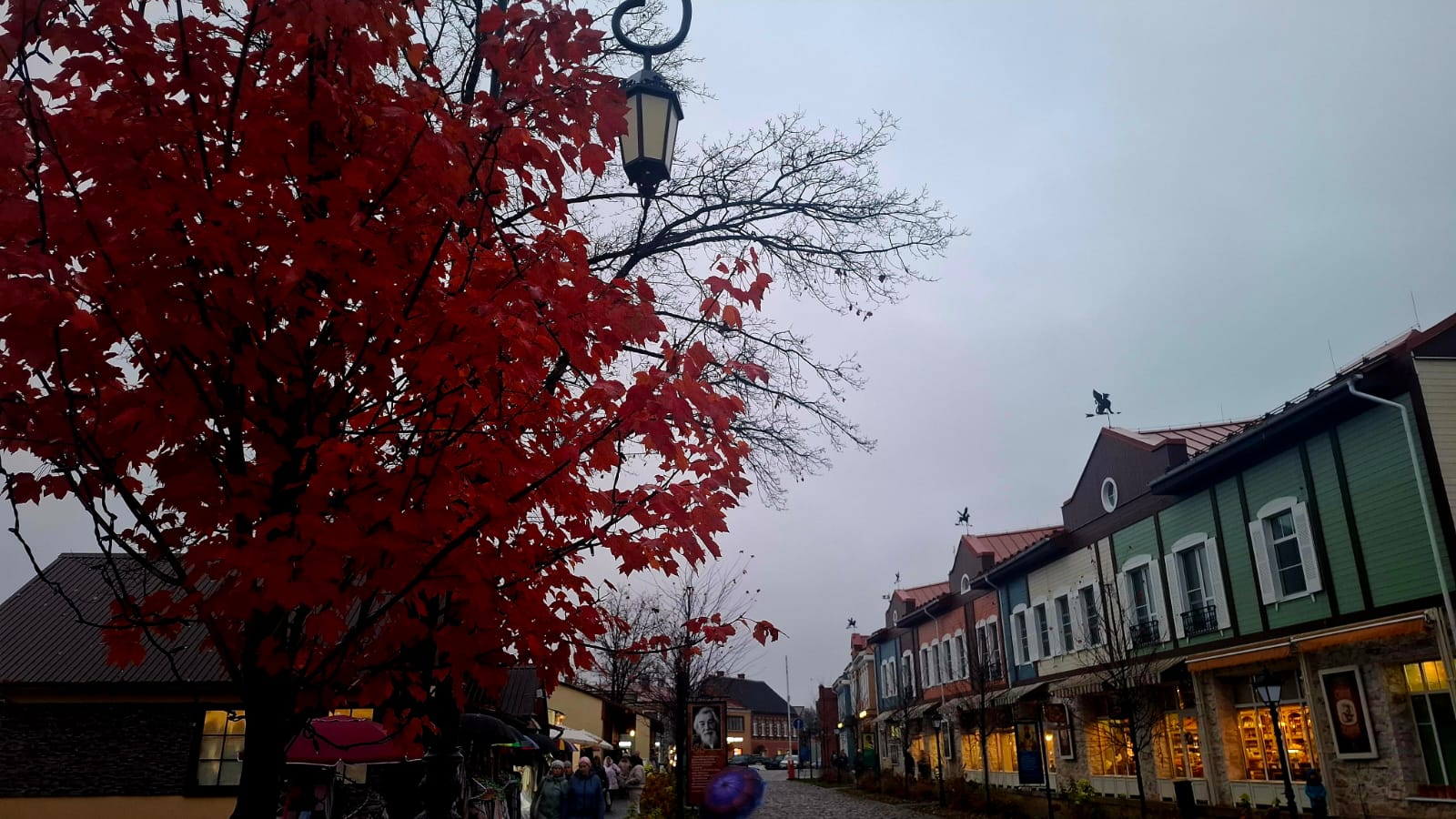 Псков, Изборск, Печоры, Пушкинские горы с.Михайловское (15/46)