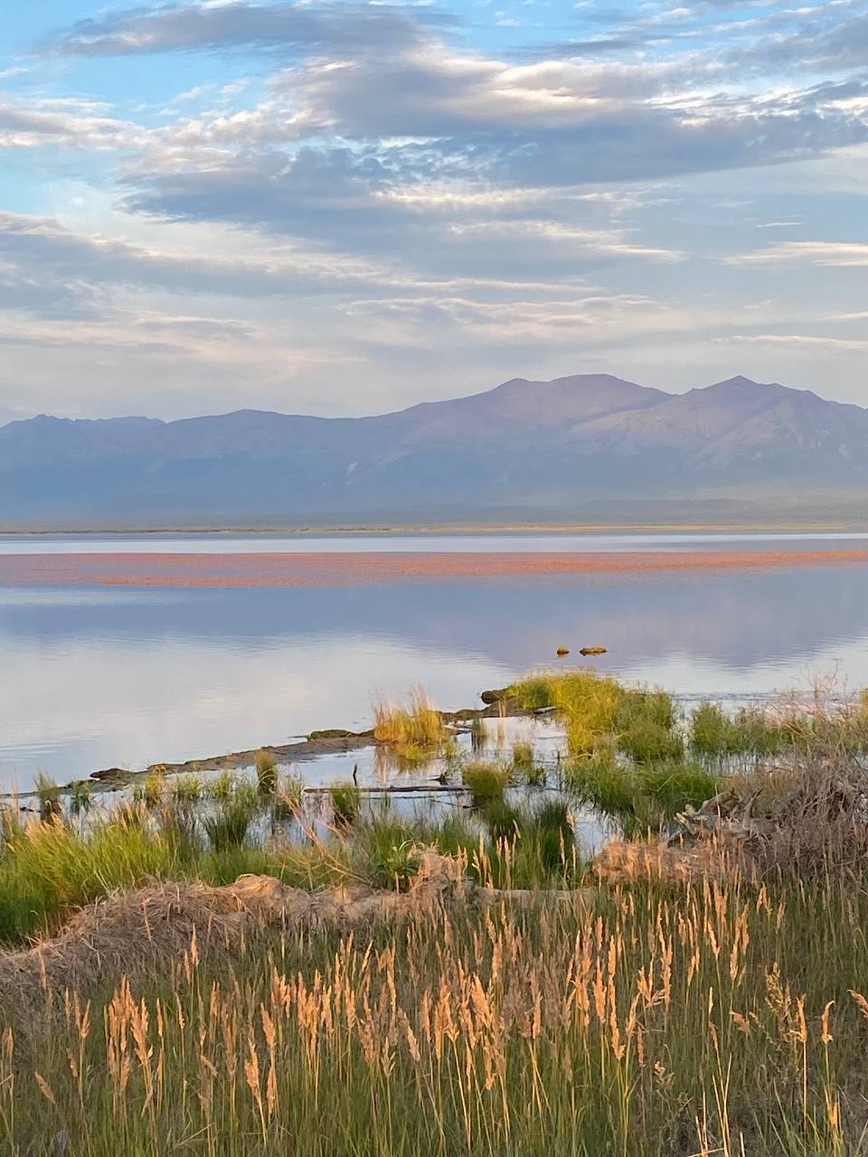 Горячие источники на Северном Байкале (25/67)