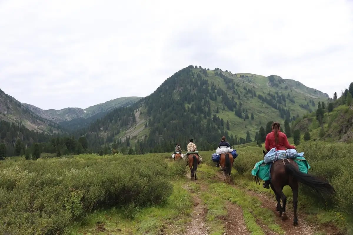 Горными тропами Алтая, конный тур на озеро Манас (8/23)