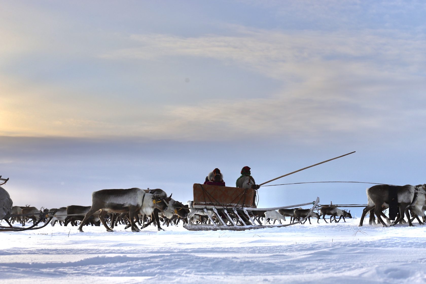 Ямал: экспедиция с профессиональным фотографом в стойбище ненецких оленеводов (8/20)