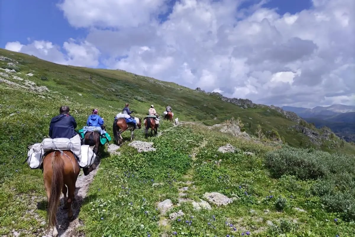 Горными тропами Алтая, конный тур на озеро Манас (2/23)