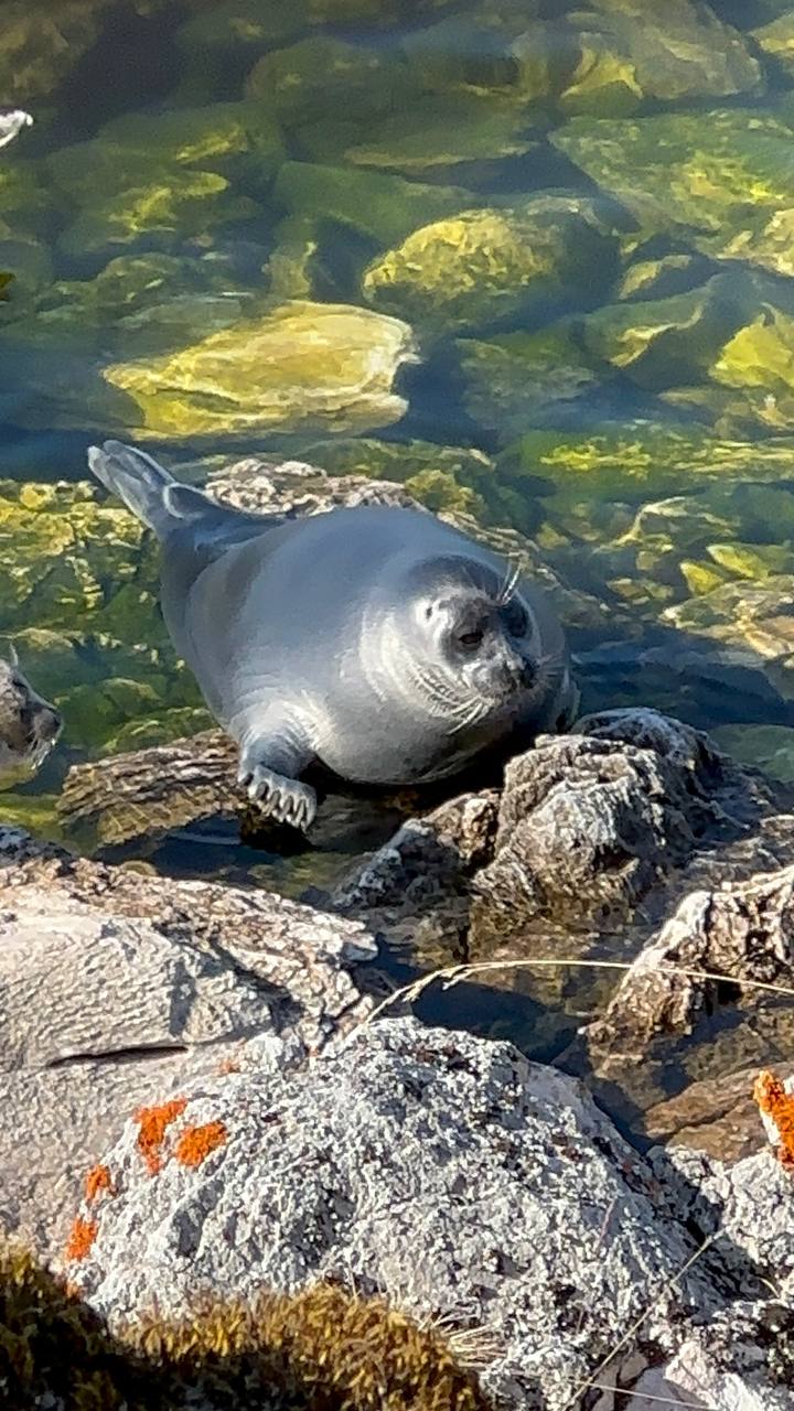 Северный Байкал. Яхты. Глэмпинг. Чивыркуй. (33/75)