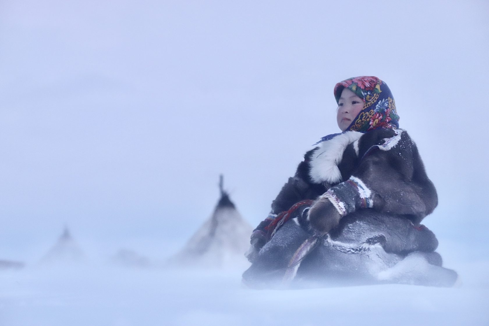 Ямал: экспедиция с профессиональным фотографом в стойбище ненецких оленеводов (3/20)