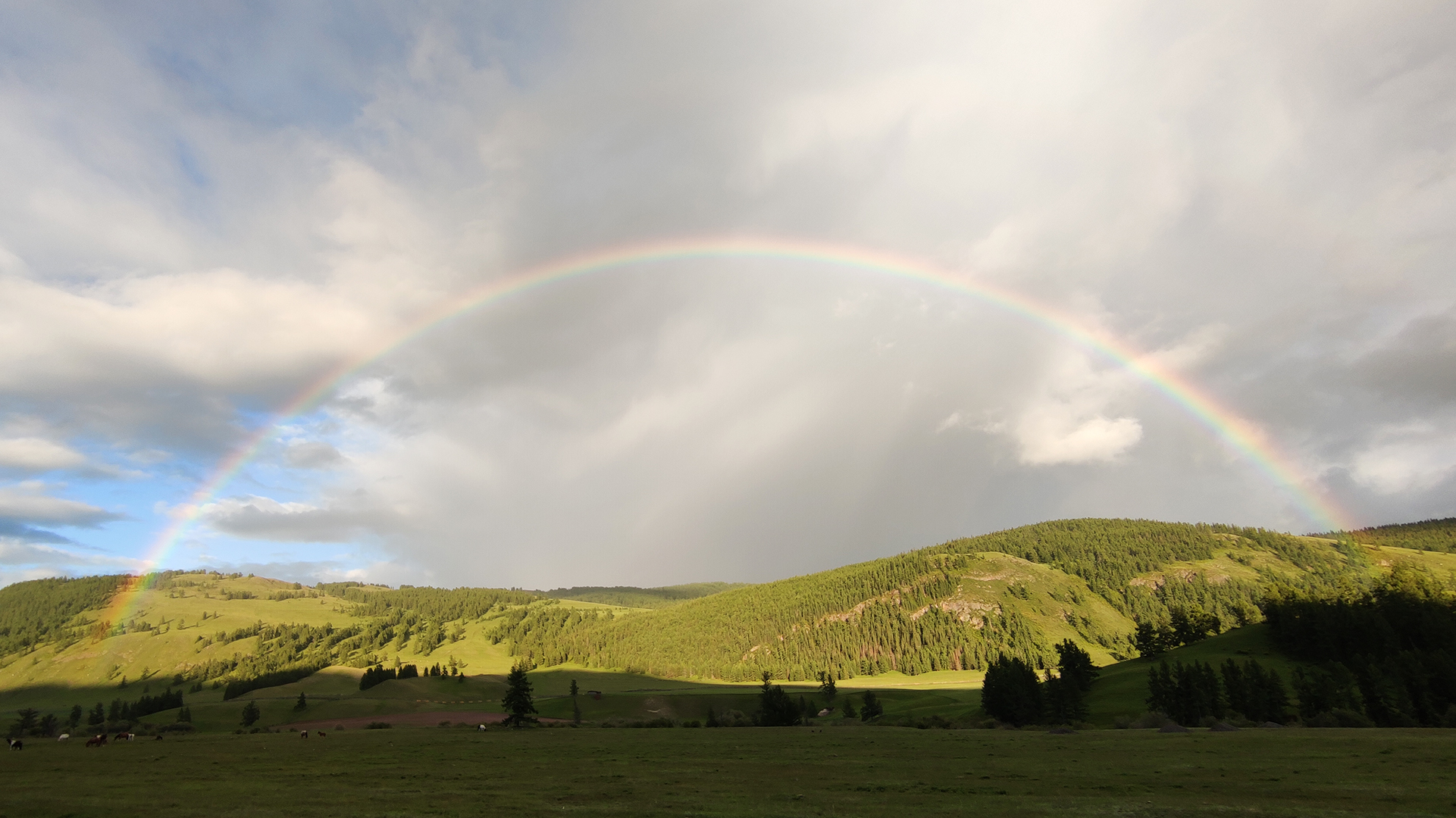 Золотое кольцо Алтая+ Актру. Индивидуальный Вип-тур. (81/121)