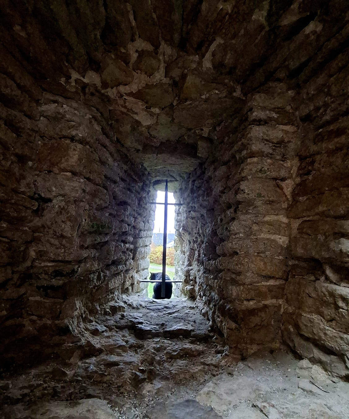 Псков, Изборск, Печоры, Пушкинские горы с.Михайловское (12/46)