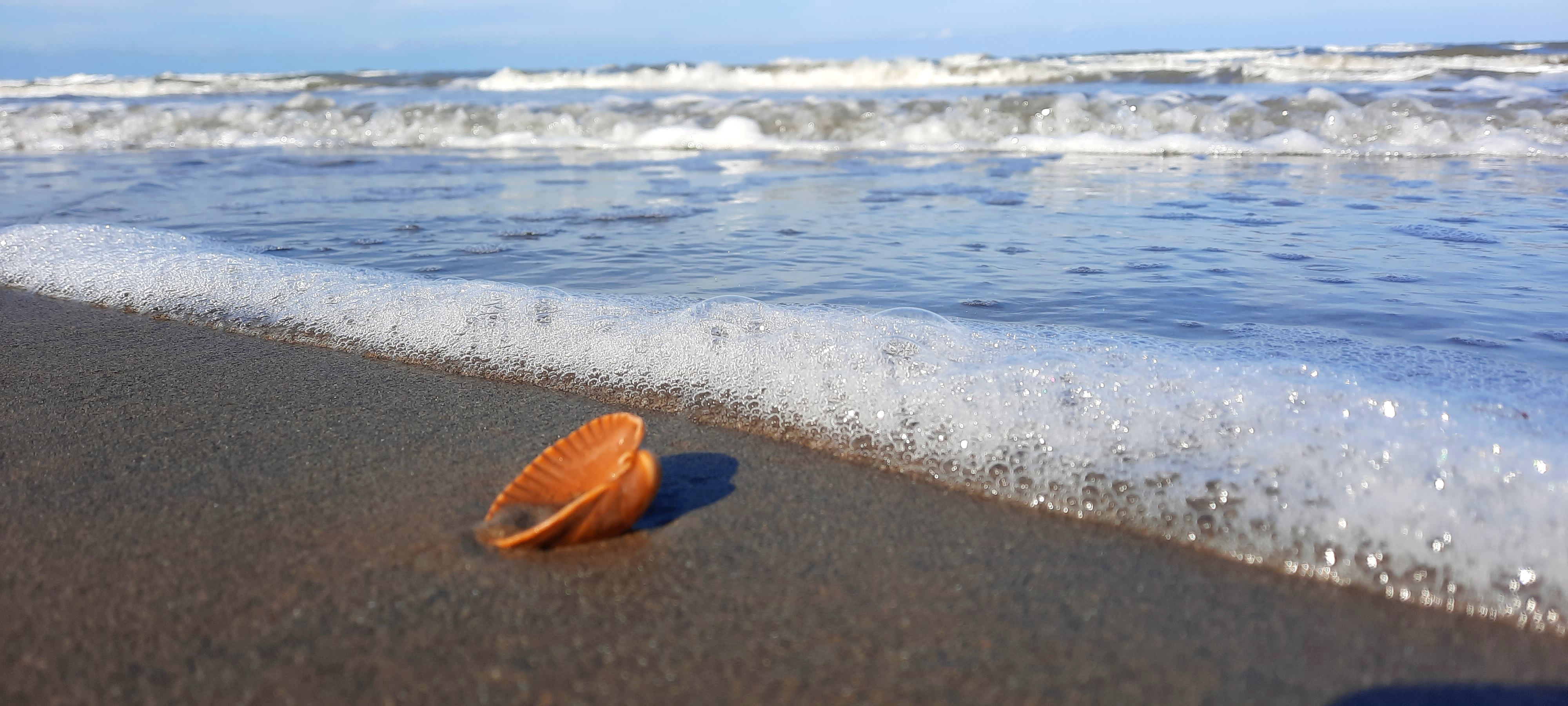 Горы и море