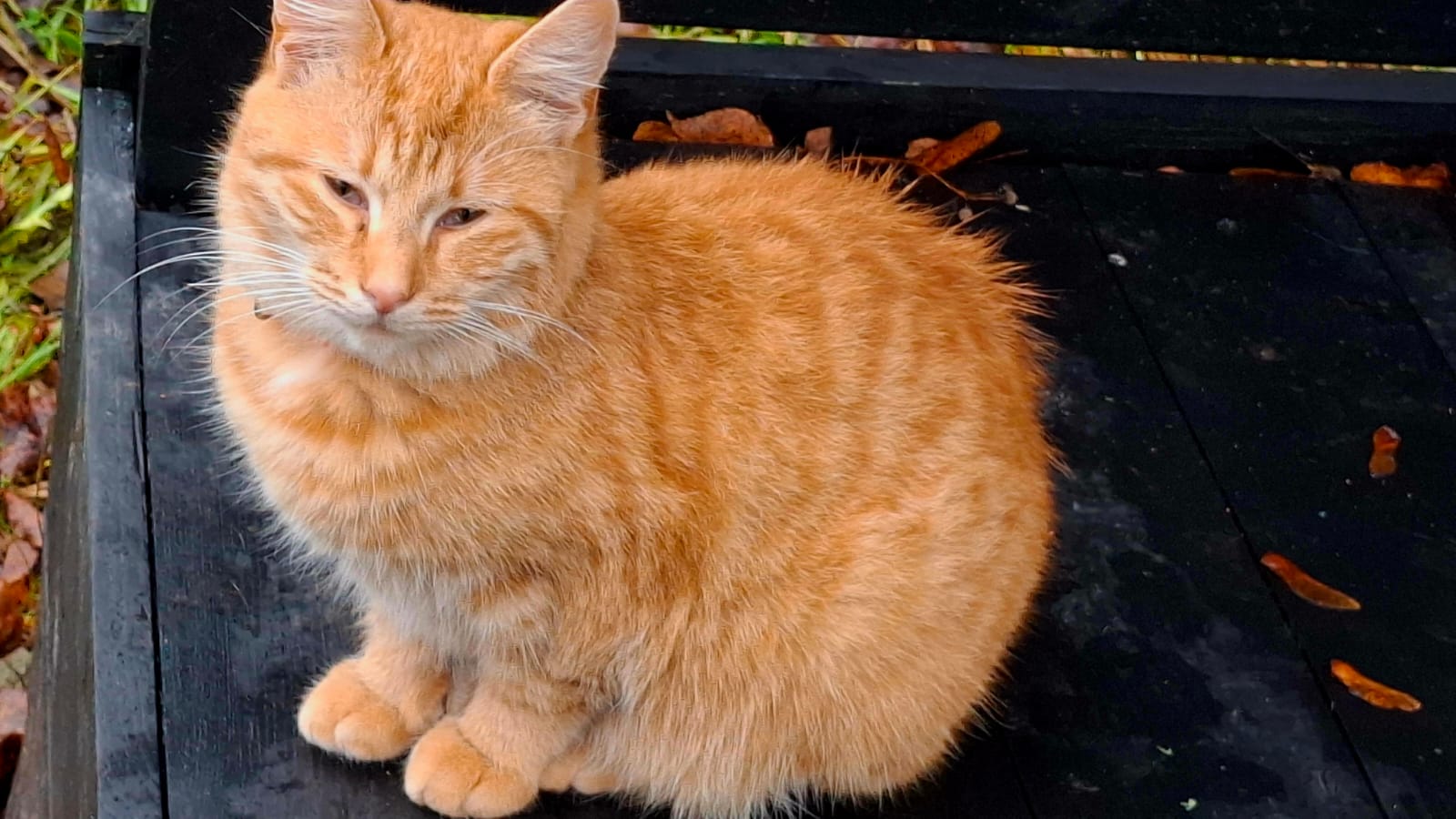 Псков, Изборск, Печоры, Пушкинские горы с.Михайловское (18/46)