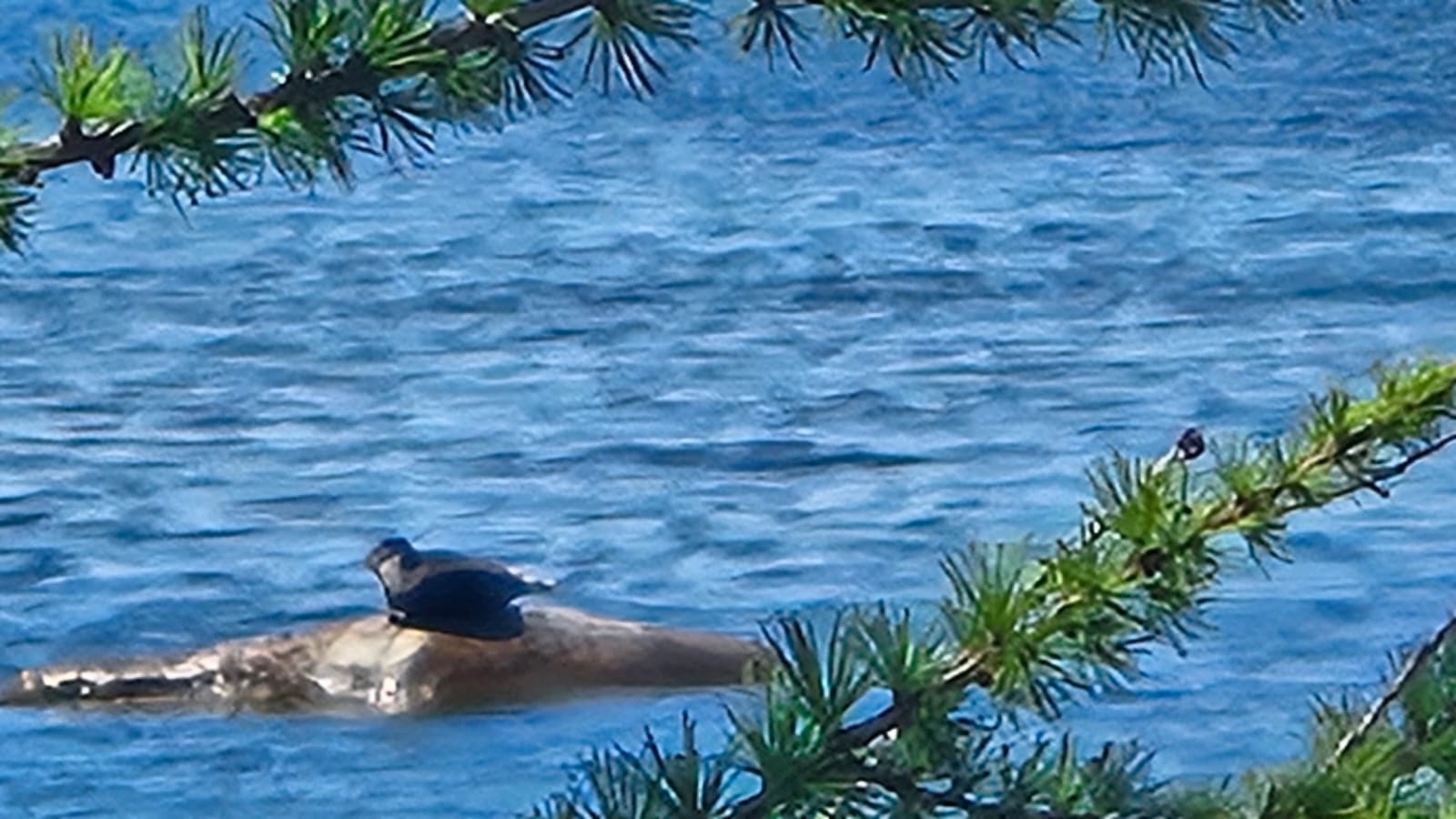 мини-тур Отдых в Хакусах (23/43)