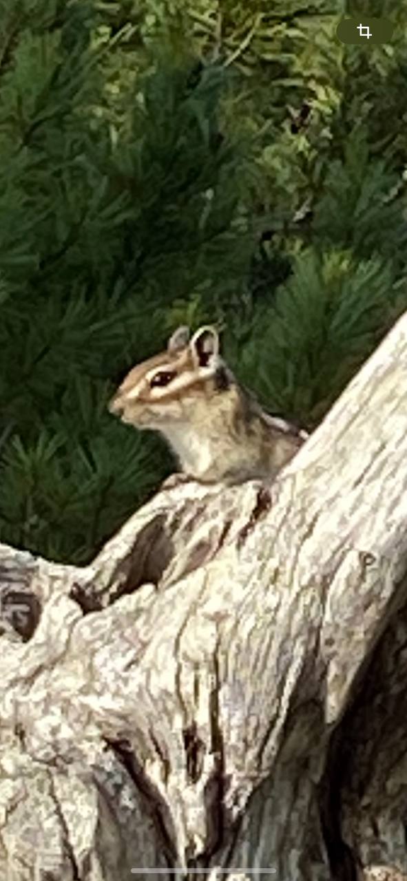 Горячие источники на Северном Байкале (28/67)