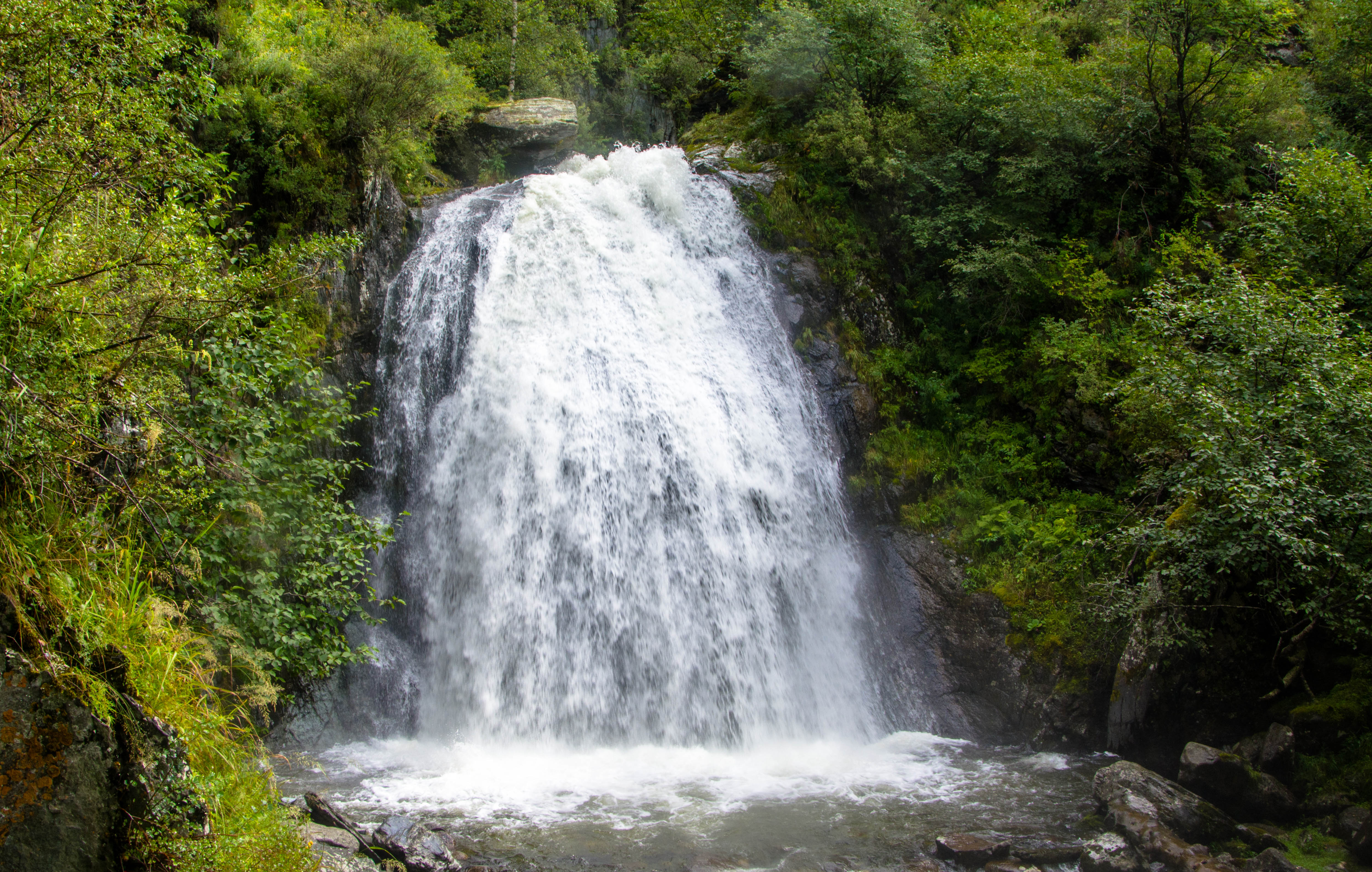 Золотое кольцо Алтая+ Актру. Индивидуальный Вип-тур. (83/121)