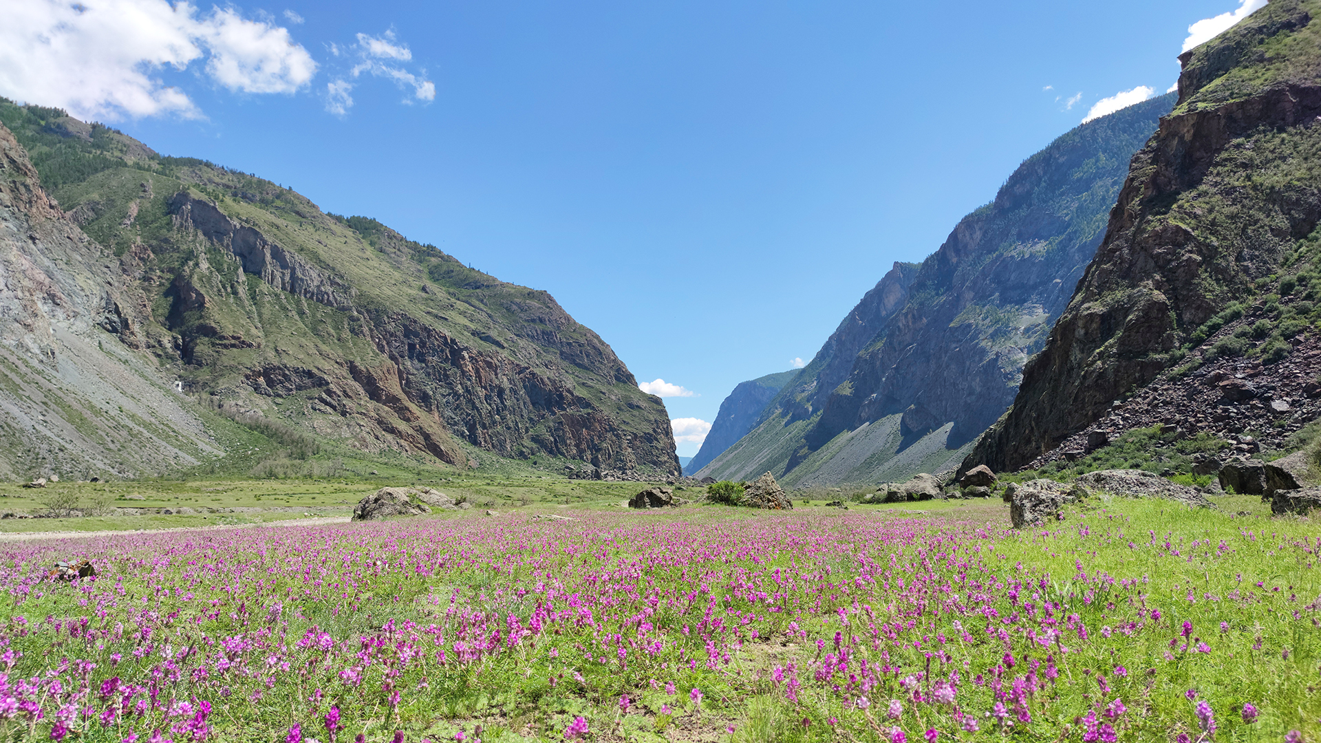 Золотое кольцо Алтая+ Актру. Индивидуальный Вип-тур. (80/121)