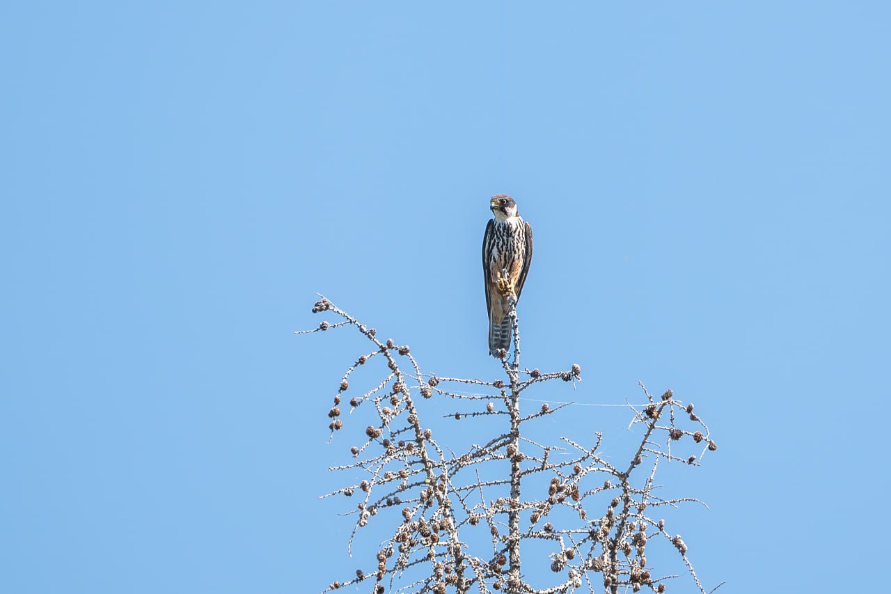 Горячие источники на Северном Байкале (37/67)