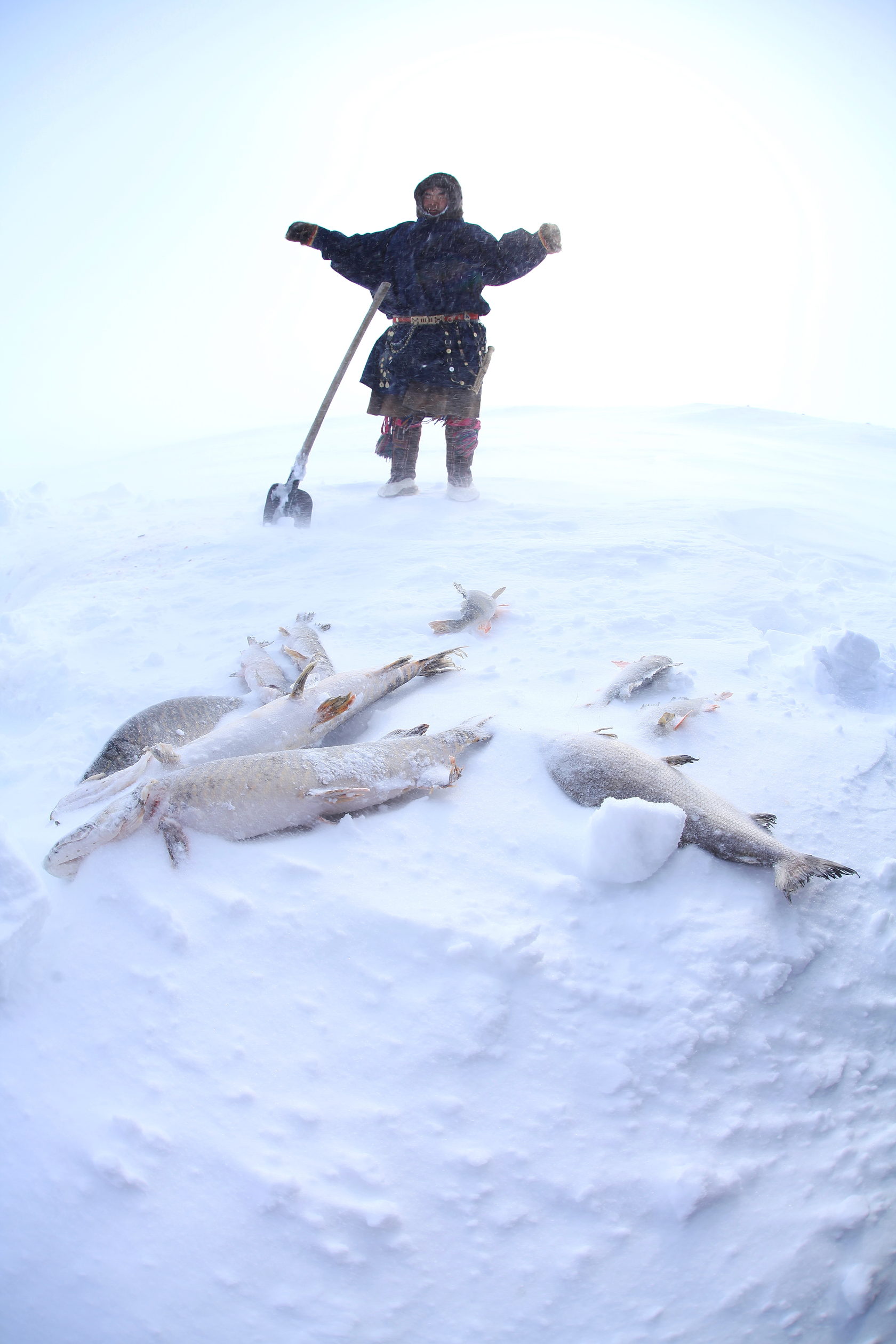 Ямал: экспедиция с профессиональным фотографом в стойбище ненецких оленеводов (19/20)