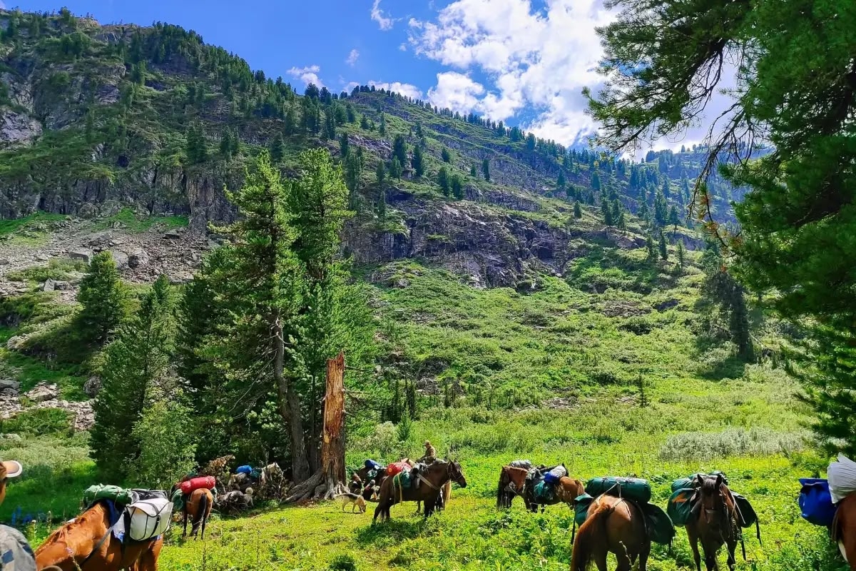 Горными тропами Алтая, конный тур на озеро Манас (4/23)