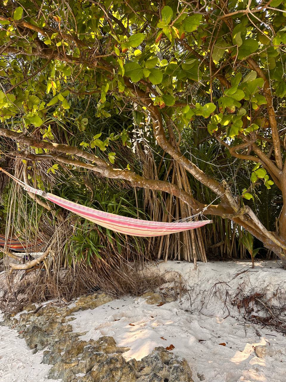 Магические Мальдивы (77/130)