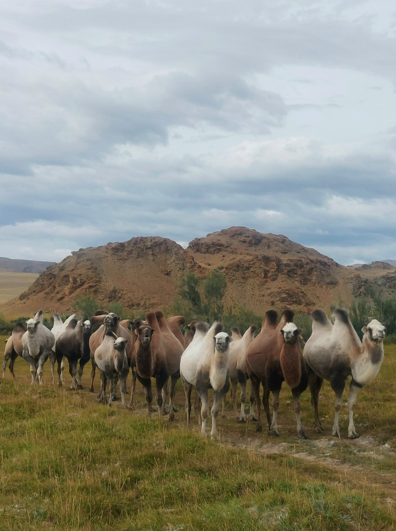 Джип-тур Алтай. Грани высокогорья. (6/47)