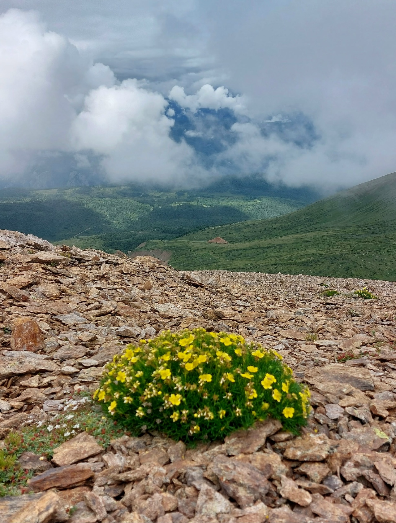Джип-тур Алтай. Грани высокогорья. (10/47)