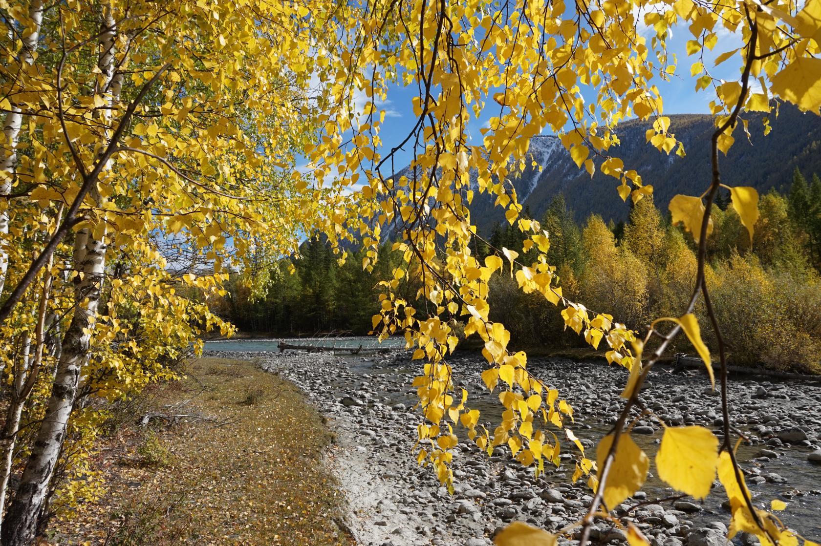 В объятиях Алтая, осенний автотур (14/29)