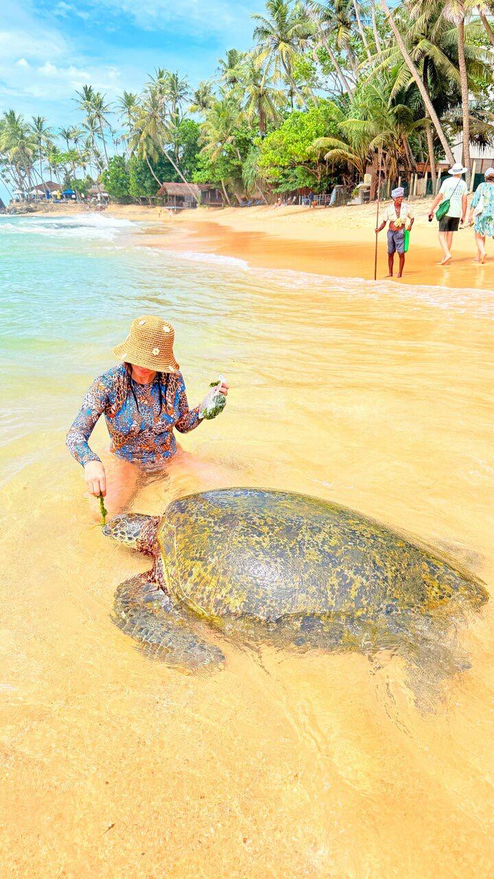 Релакс и первое знакомство с тропическим раем