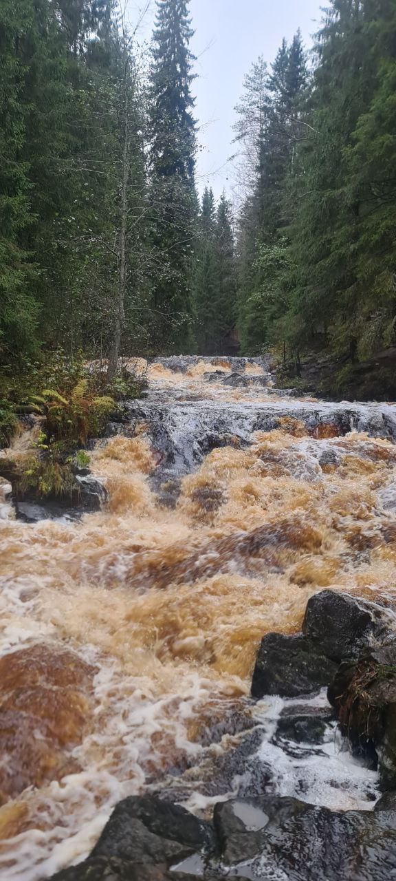Сказочная Карелия из Петрозаводска за 4 дня в мини-группе. (15/21)