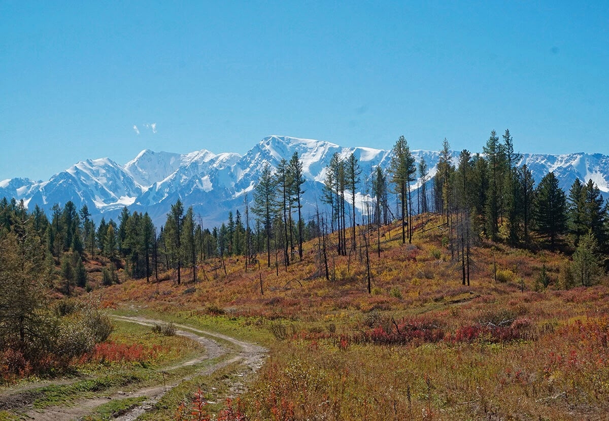 Джип-тур Алтай. Грани высокогорья. (2/47)