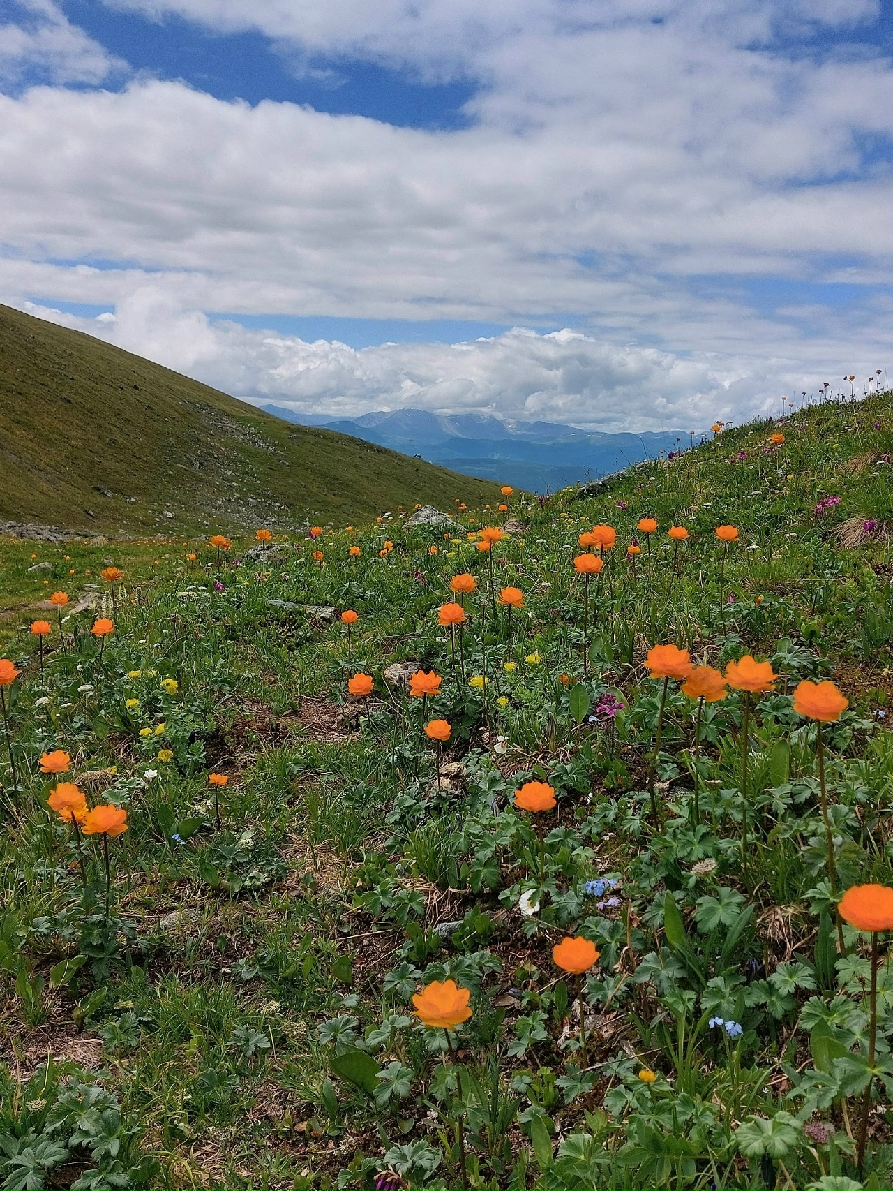 Джип-тур Алтай. Грани высокогорья. (11/47)