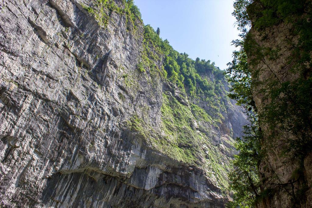 Другая Абхазия: цветущая глициния (12/21)