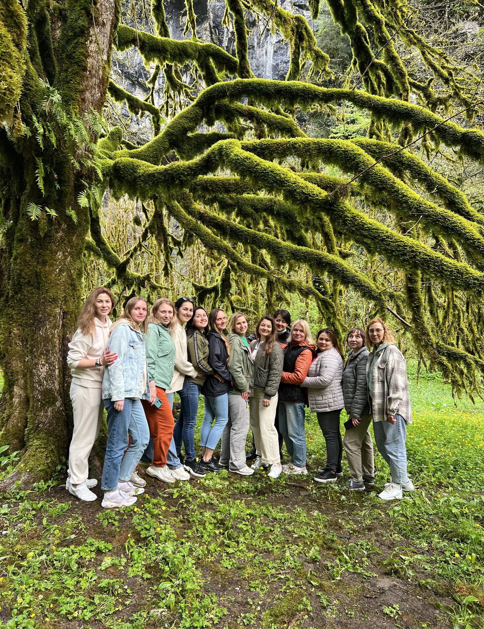 Другая Абхазия: цветущая мимоза и водопады-гиганты (4/15)